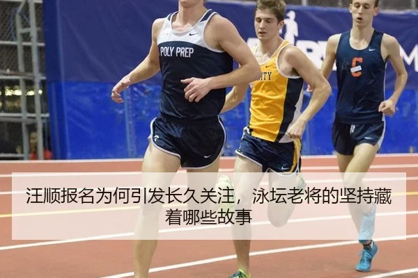 汪顺报名为何引发长久关注，泳坛老将的坚持藏着哪些故事